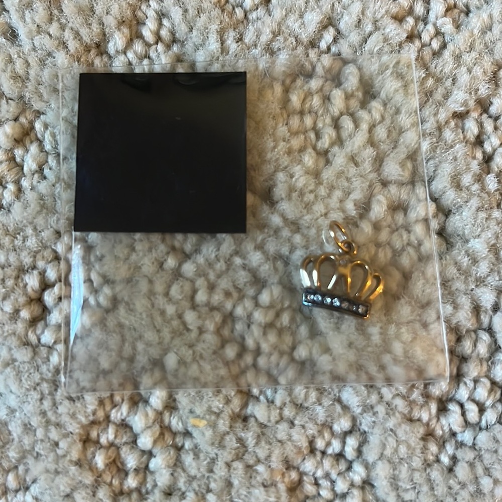 New Stella and Dot Queen Bee Charm